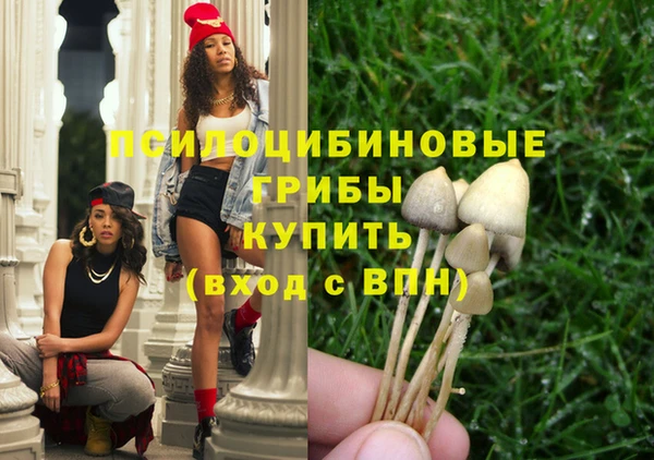 соль ск Лиски