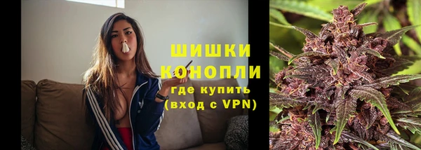 PSILOCYBIN Гусиноозёрск