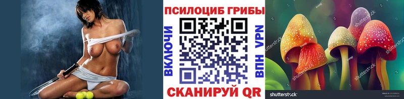 Псилоцибиновые грибы Magic Shrooms блэк спрут как войти Белоусово дарнет шоп